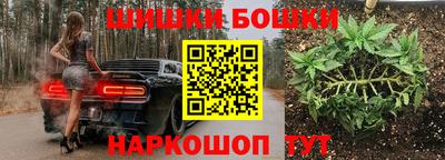 индика Рязань