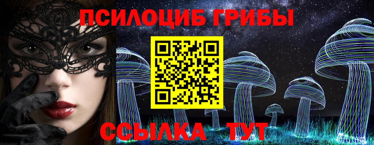 Псилоцибиновые грибы мицелий Советская Гавань