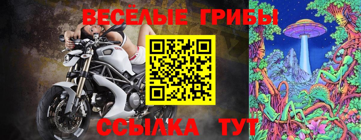 Советская Гавань  где купить наркоту  Вход с VPN  Псилоцибиновые грибы GOLDEN TEACHER  Псилоцибиновые грибы MAGIC MUSHROOMS 